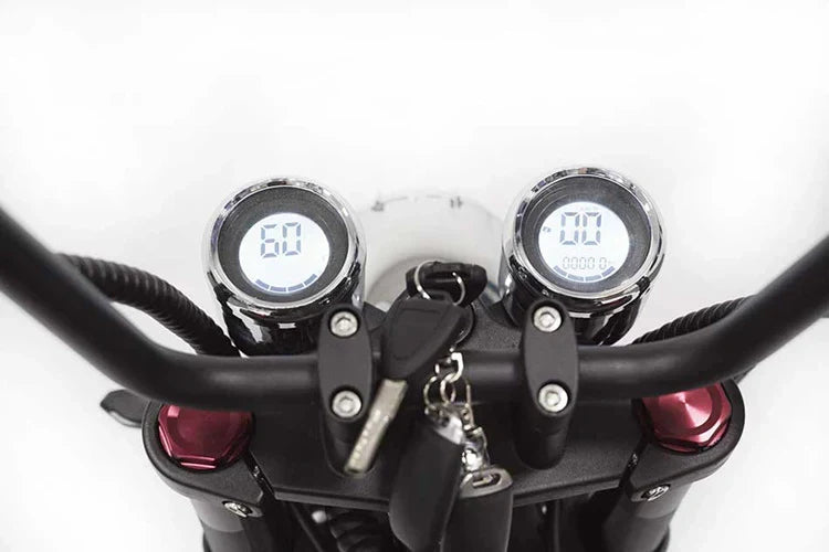 Elektro-Chopper Mangosteen M1 in Mattgrün – 2000W Hochleistungsmotor und Stilvoll