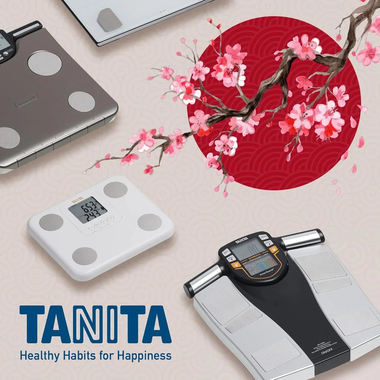 TANITA BC-545N Segment-Körperzusammensetzungswaage On Screen Messwerte pro Körperteil 10 Messungen Silber | 1er pack